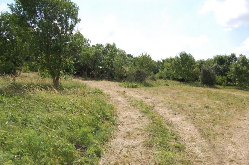 Маринівка з panoramio.com - Мариновка