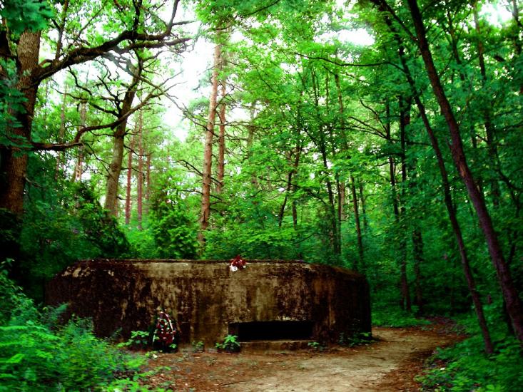 Віта-Поштова з panoramio.com - Вита-Почтовая