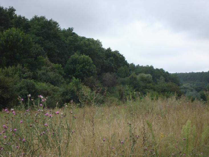 Руські Тишки з panoramio.com - Русские Тишки
