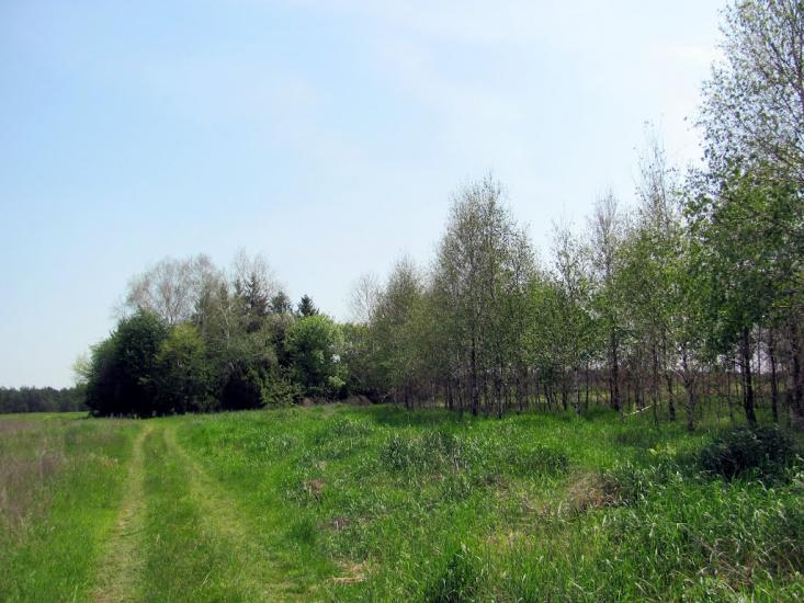 Старий Чорторийськ з panoramio.com - Старий Чорторийськ