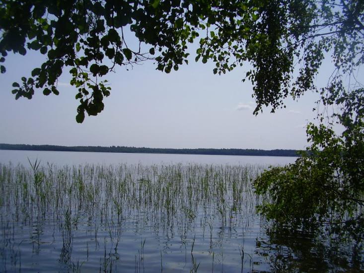 Рудка з panoramio.com - Рудка