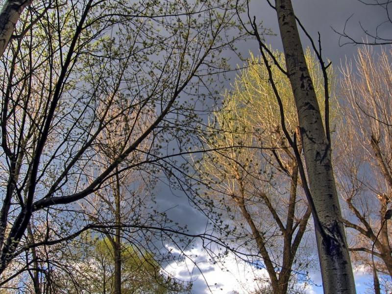 Володимирівське з panoramio.com - Владимирское