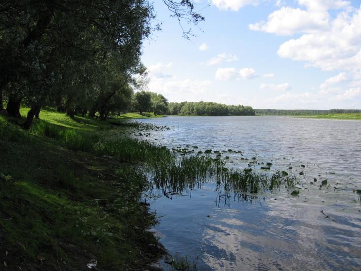 Морівськ з panoramio.com - Morivsk