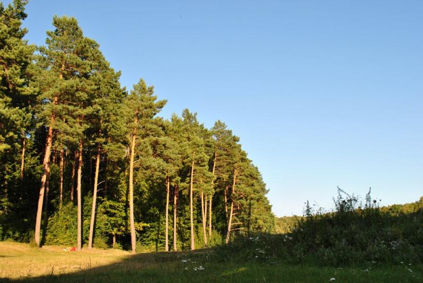 Хмільник з panoramio.com - Хмельник