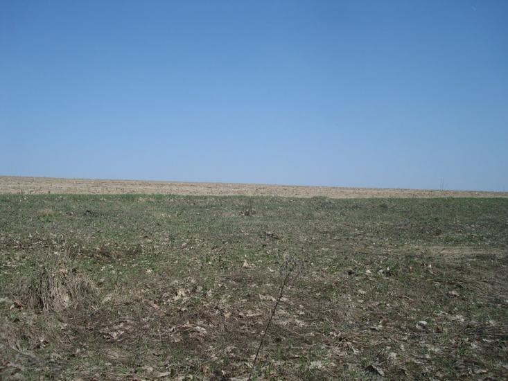 Чапаєвка з panoramio.com - Малые Коростовцы