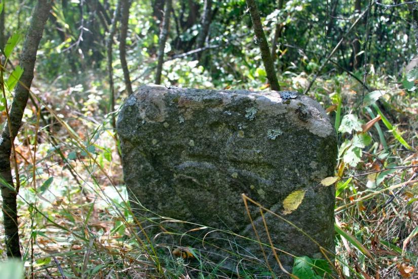 Луковиця з panoramio.com - Луковица