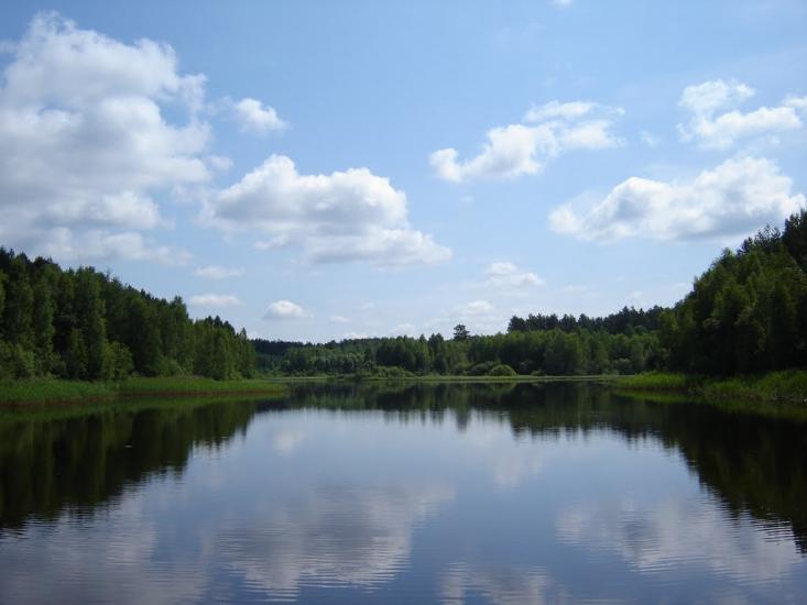 Нові Яриловичі з panoramio.com - Новые Ярыловичи
