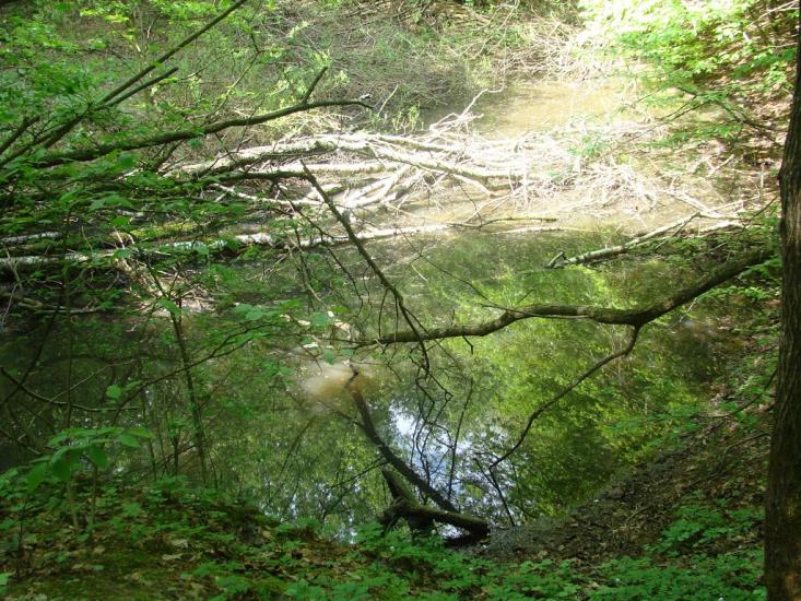 Іванківці з panoramio.com - Иванковцы