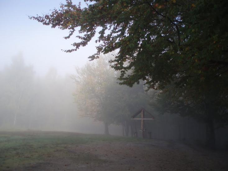 Поляниця з panoramio.com - Поляница
