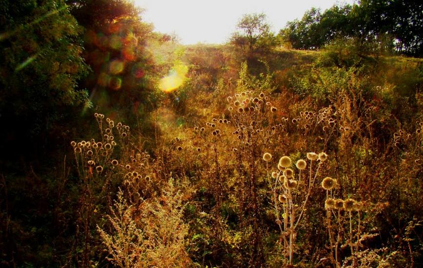 Високогірне з panoramio.com - Високогірне