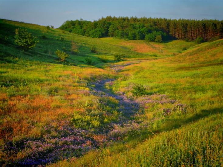Слов'яносербськ з panoramio.com - Славяносербск