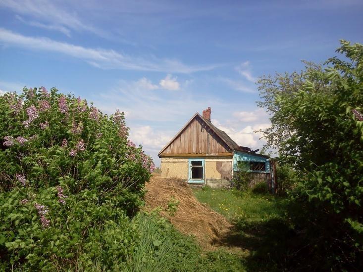 Тарасове з panoramio.com - Тарасове