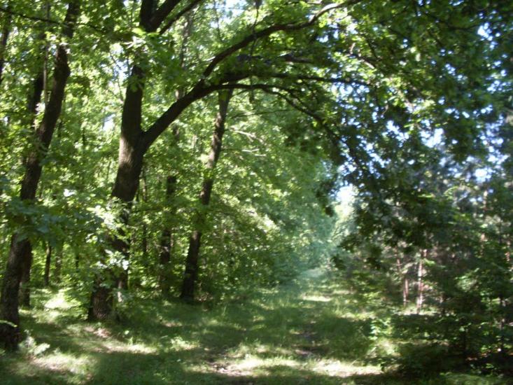 Жерденівка з panoramio.com - Жерденівка