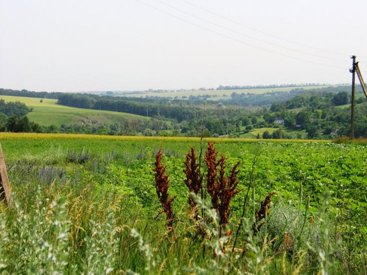 Лащова з panoramio.com - Лащова