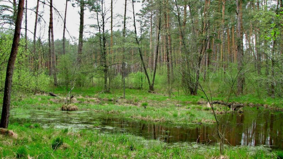 Городське з panoramio.com - Городское