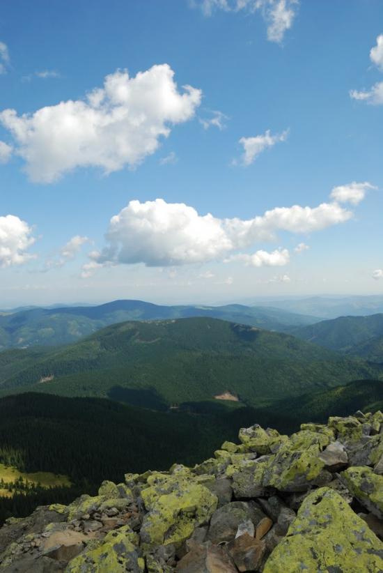 Черник з panoramio.com - Черник