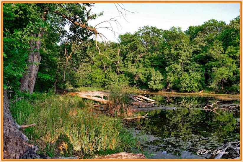 Дронівка з panoramio.com - Dronivka