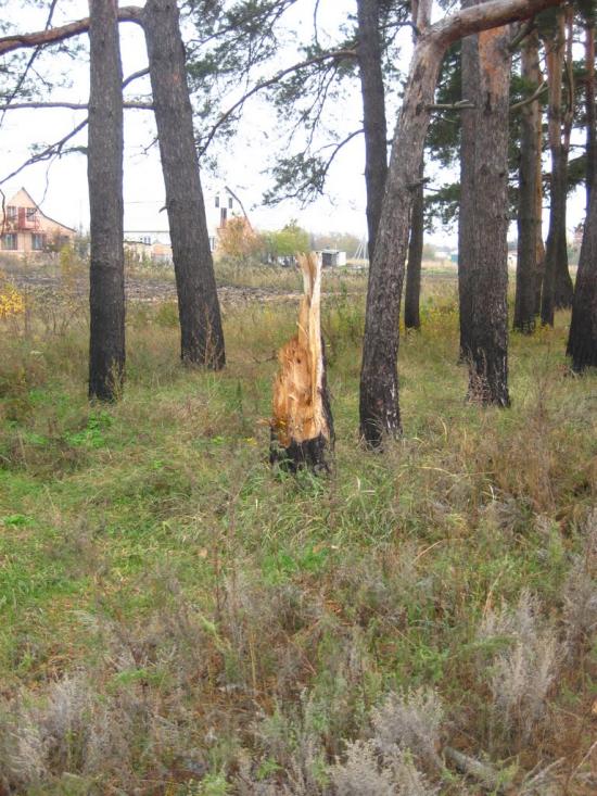 Терентіївка з panoramio.com - Терентіївка