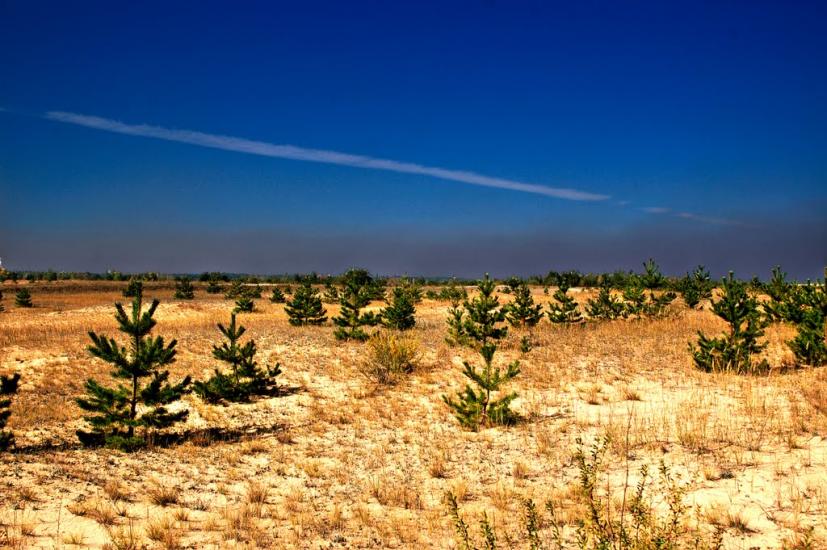 Знаменівка з panoramio.com - Znamenivka