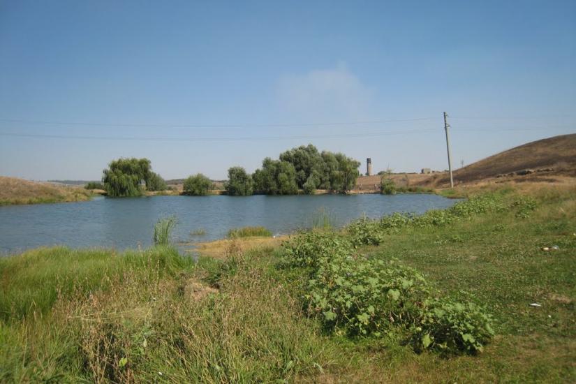 Біле з panoramio.com - Белое