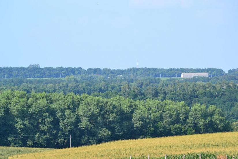 Грабовське з panoramio.com - Грабовское