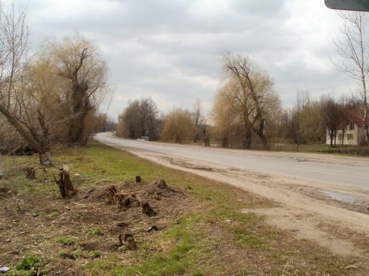Краснопілка з panoramio.com - Краснополка