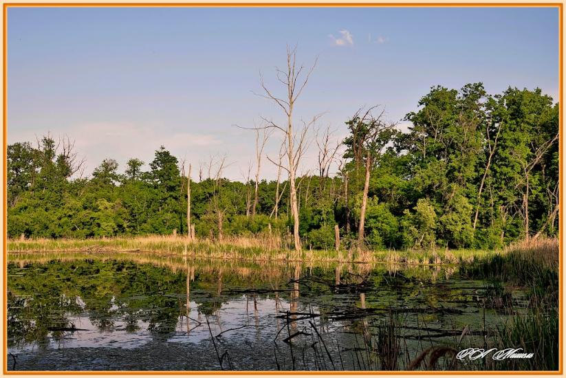 Дронівка з panoramio.com - Dronivka
