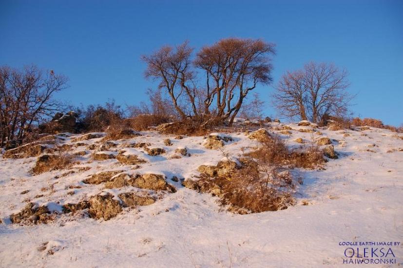 Рєпіне з panoramio.com - Рєпіне