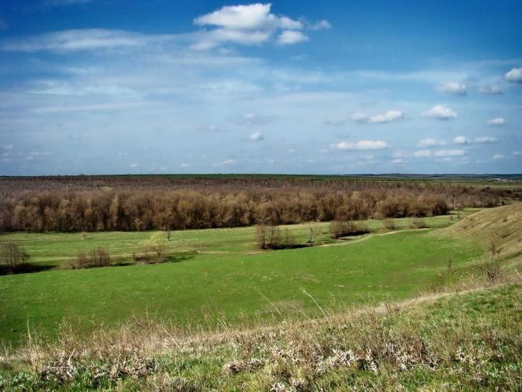 Картушине з panoramio.com - Картушино