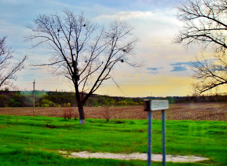 Звенигородка з panoramio.com - Звенигородка