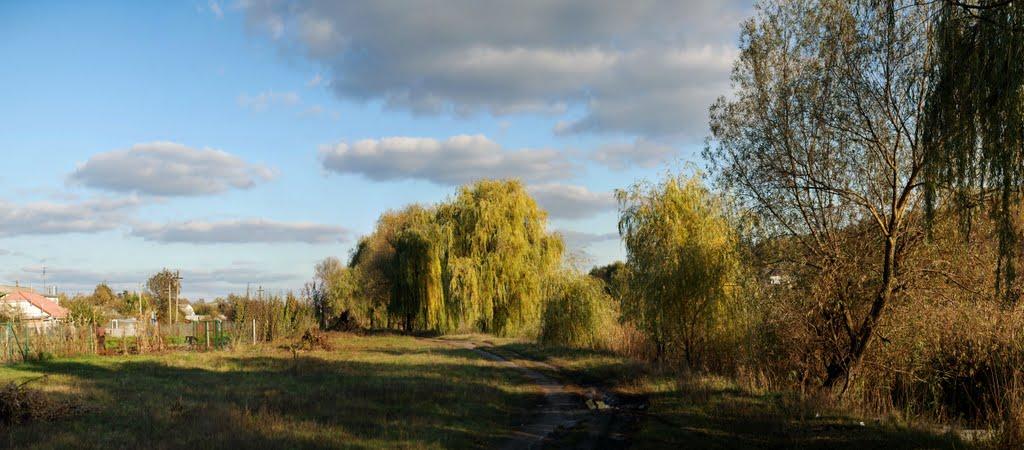 Вербівка з panoramio.com - Вербовка