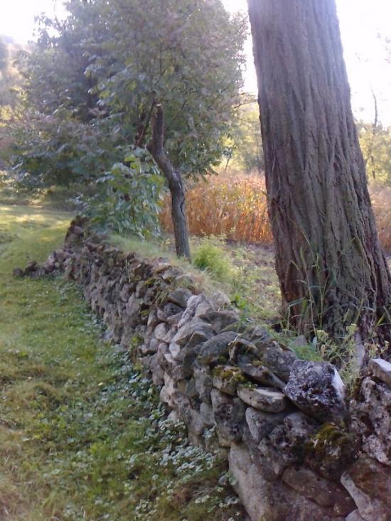 Подвір'ївка з panoramio.com - Подворьевка