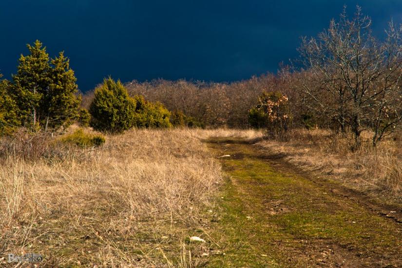 Білокам'яне з panoramio.com - Білокам'яне