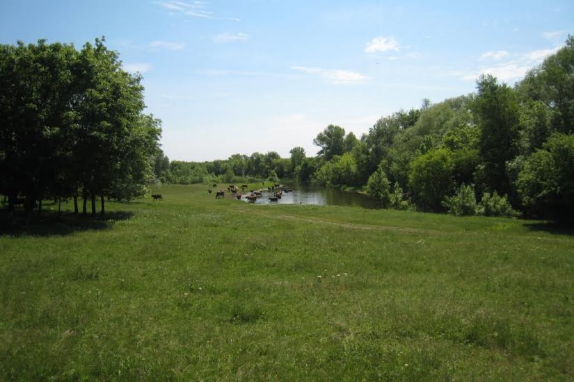 Гарасимівка з panoramio.com - Гарасимовка