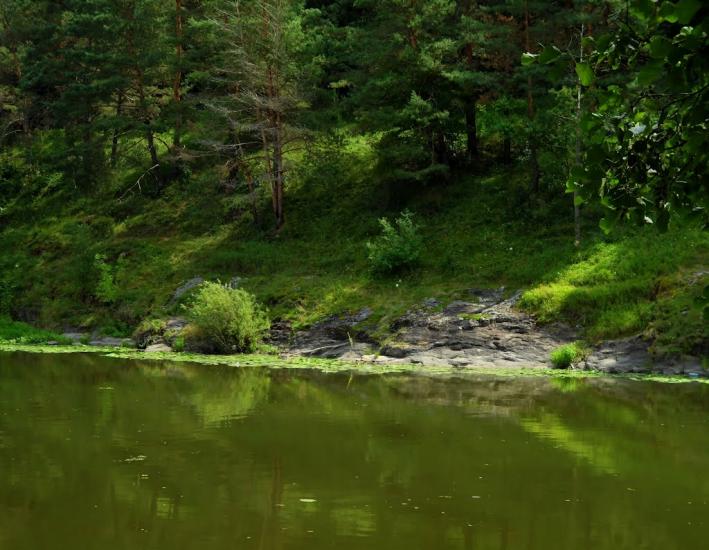 Прибузьке з panoramio.com - Прибугское