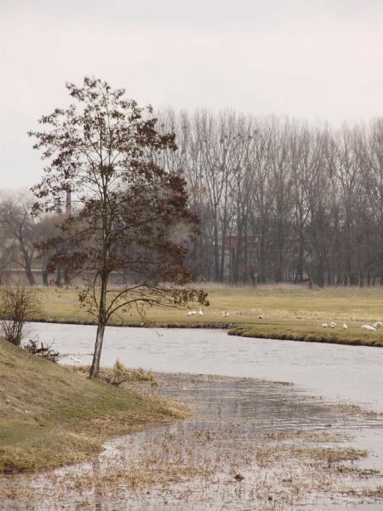 Федорівка з panoramio.com - Федоровка