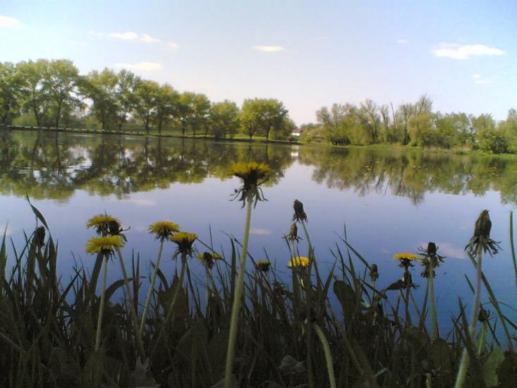 Іванівка з panoramio.com - Іванівка