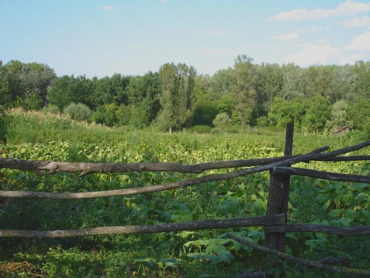 Хорішки з panoramio.com - Хорішки