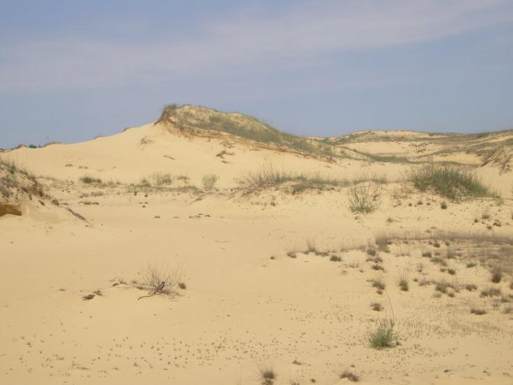 Пролетарка з panoramio.com - Пролетарка