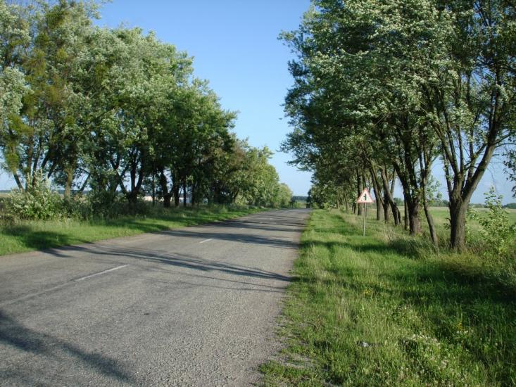 Копилів з panoramio.com - Копылов