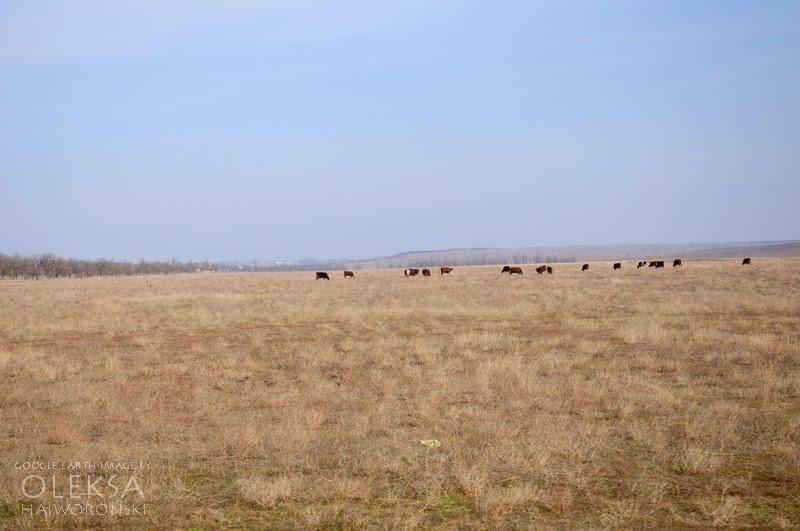 Табачне з panoramio.com - Табачное