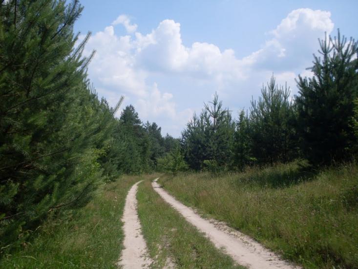 Бережне з panoramio.com - Бережное