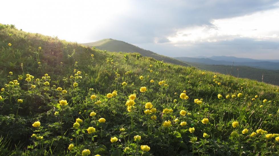 Либохора з panoramio.com - Либохора