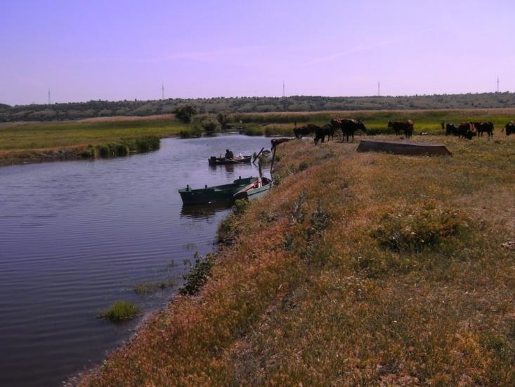 Гур'ївка з panoramio.com - Гурьевка