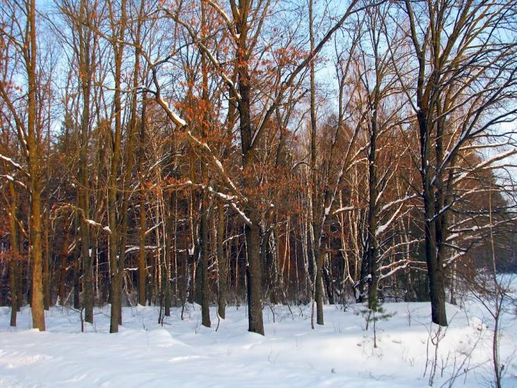 Волиця з panoramio.com - Волица