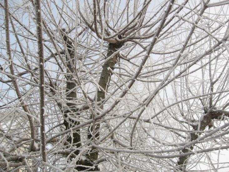 Горностаївка з panoramio.com - Горностаевка