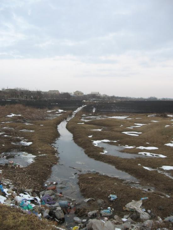 Вакулівка з panoramio.com - Вакулівка