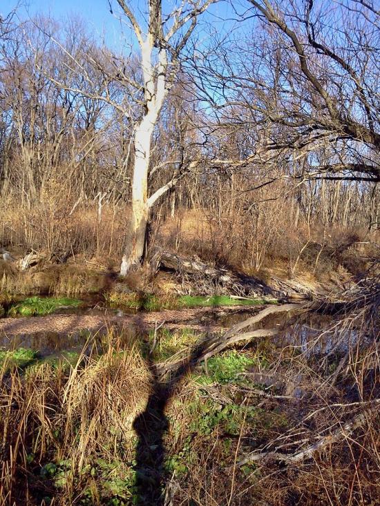 Щастя з panoramio.com - Счастье