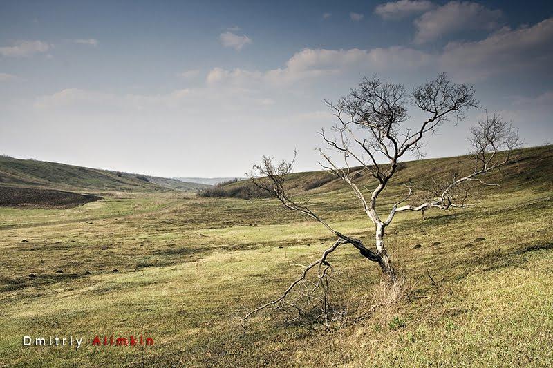Першомар'ївка з panoramio.com - Першомарьевка