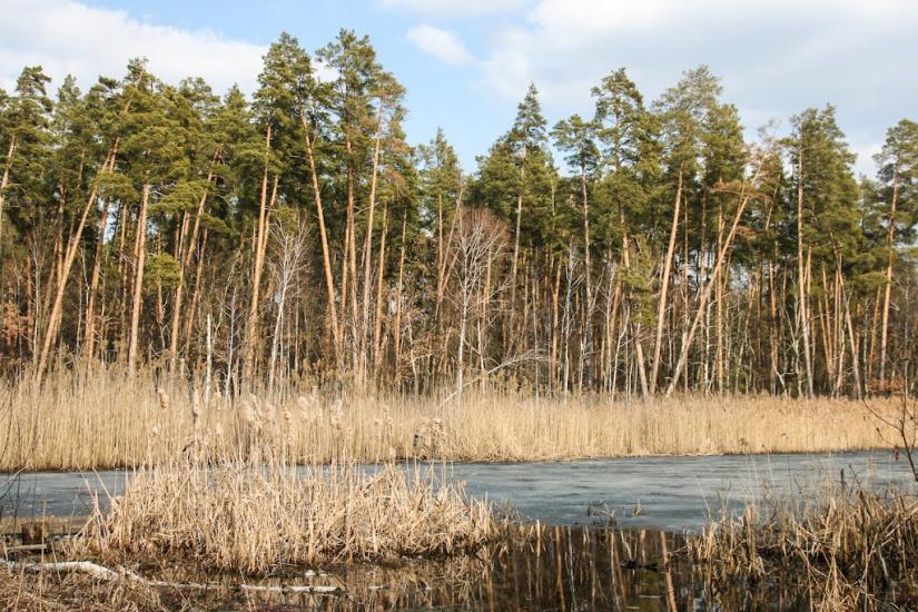 Циблі з panoramio.com - Tsybli
